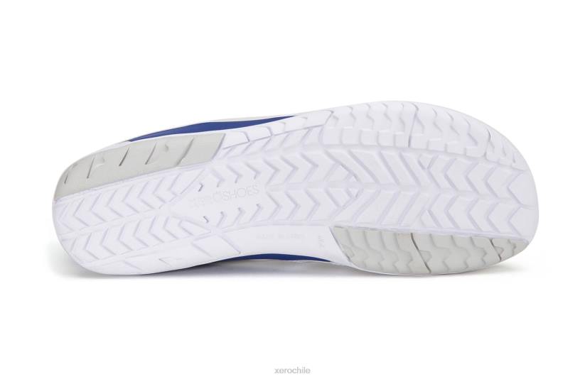 corredor de forza - hombres blanco / azul sodalita 040J32 Xero Shoes