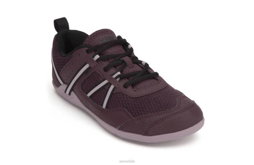 Zapatilla para correr y fitness prio - mujer higo / saúco 040J266 Xero Shoes