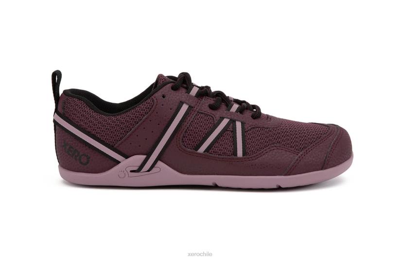 Zapatilla para correr y fitness prio - mujer higo / saúco 040J266 Xero Shoes