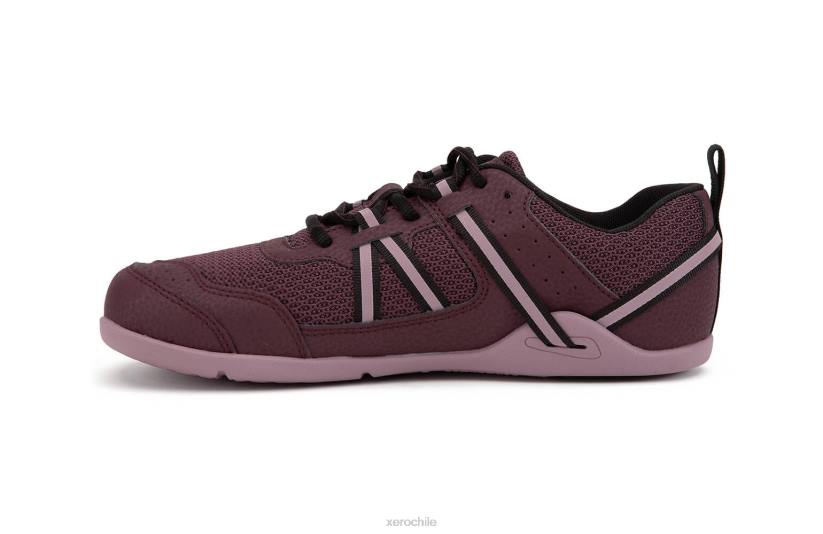 Zapatilla para correr y fitness prio - mujer higo / saúco 040J266 Xero Shoes