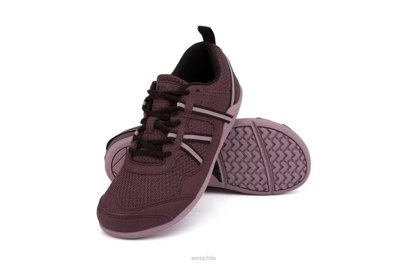 Zapatilla para correr y fitness prio - mujer higo / saúco 040J266 Xero Shoes