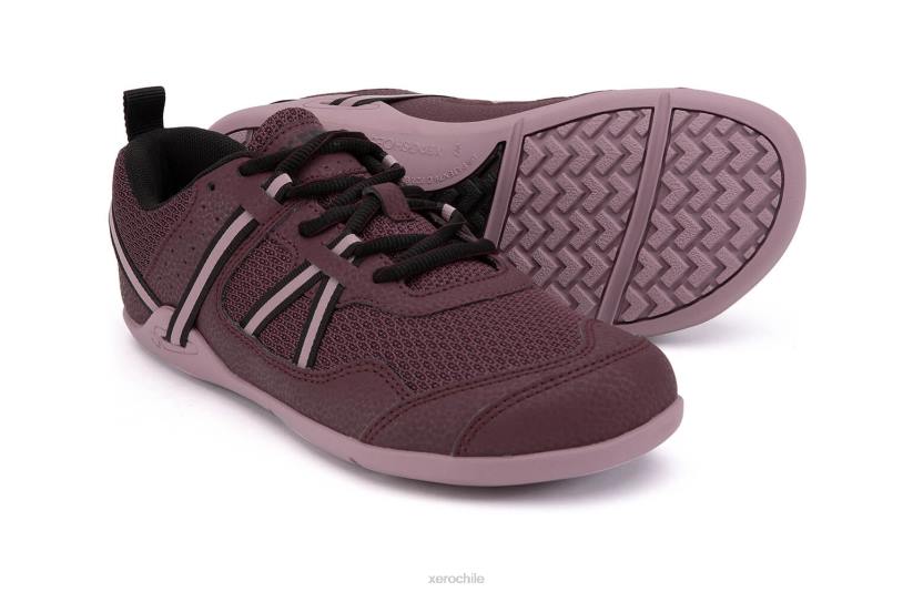 Zapatilla para correr y fitness prio - mujer higo / saúco 040J266 Xero Shoes