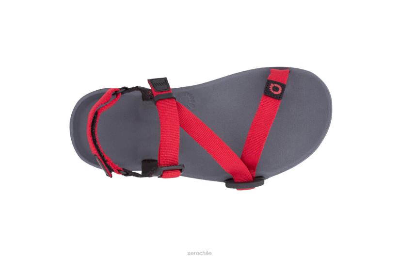 z-trail - la sandalia deportiva definitiva - niños carbón / pimiento rojo 040J226 Xero Shoes