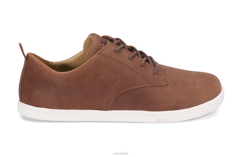 glenn - zapato de vestir-casual de cuero para hombre marrón 040J51 Xero Shoes
